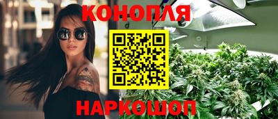 прущие крисы Гусиноозёрск
