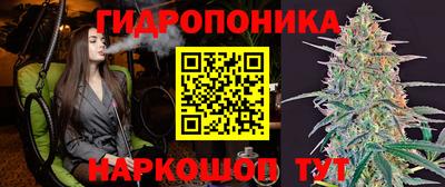 прущие крисы Гусиноозёрск