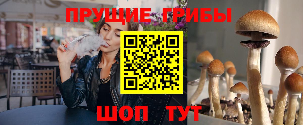 Псилоцибиновые грибы Psilocybine cubensis  Галлюциногенные грибы ЛСД  продажа наркотиков  Вход с VPN  Малгобек 