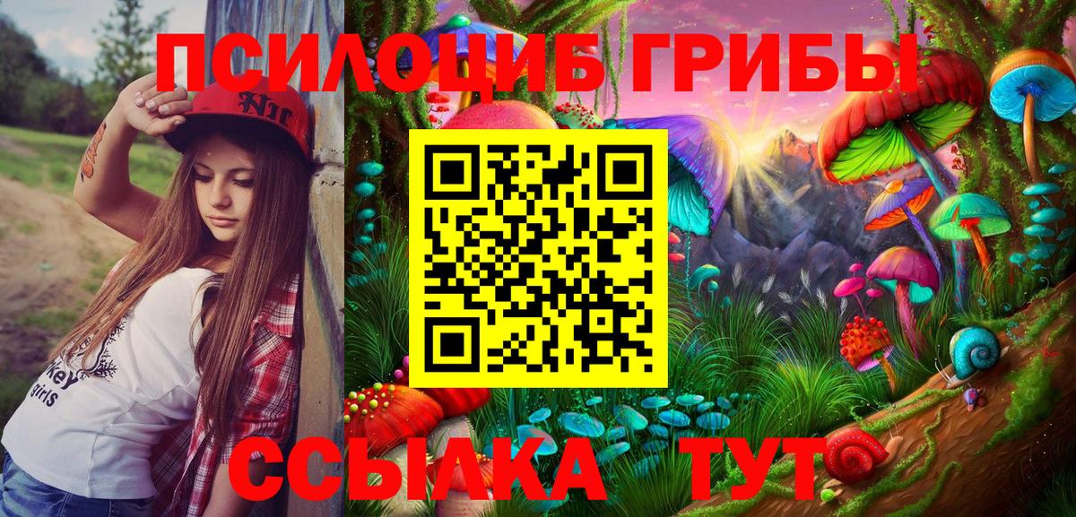Галлюциногенные грибы Magic Shrooms Малгобек